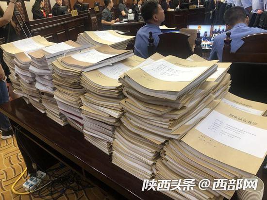 刑事侦查卷宗。